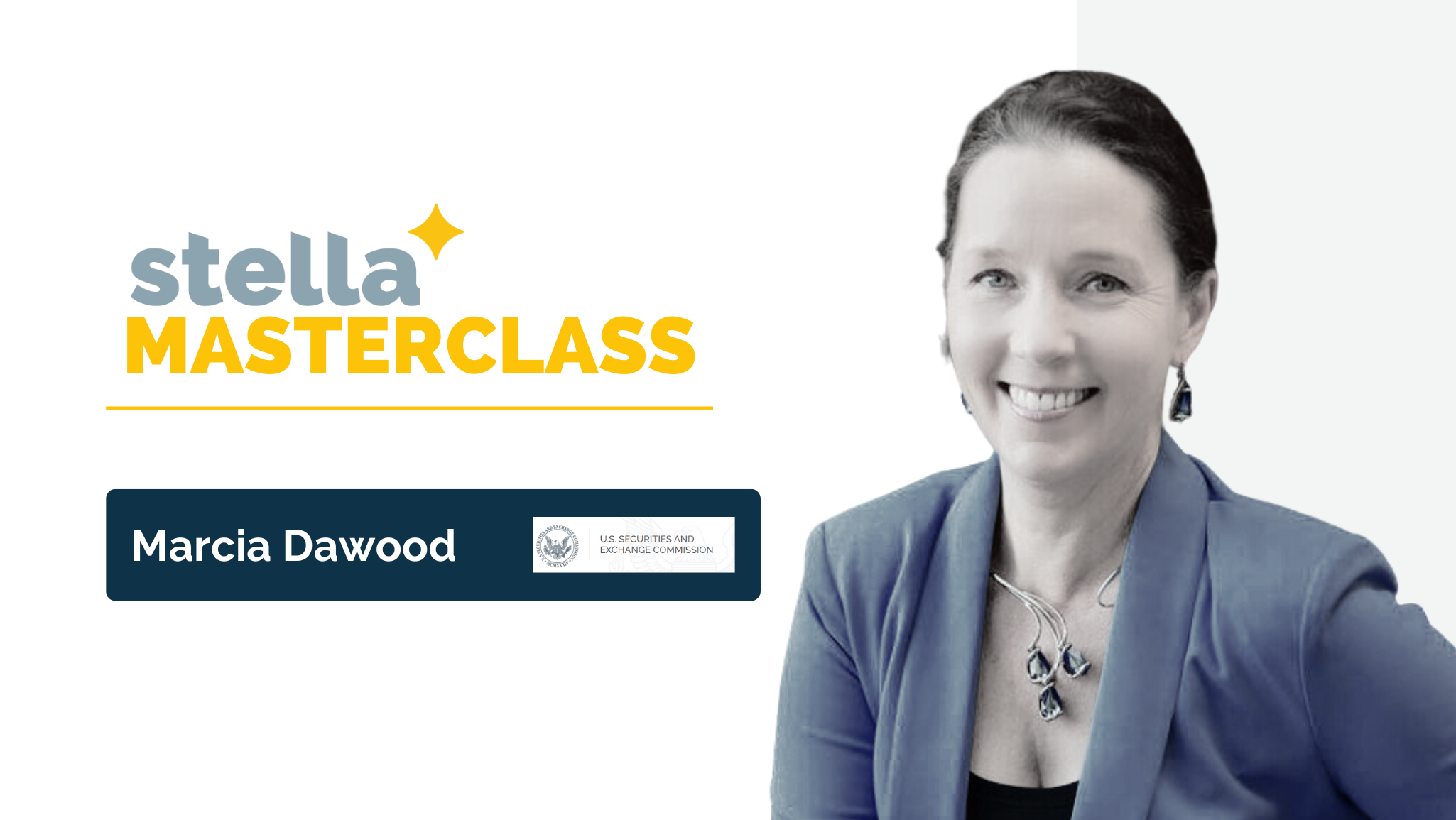 Stella Masterclass Banner